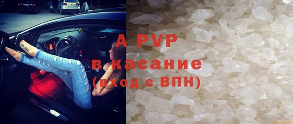 прущие грибы Козельск