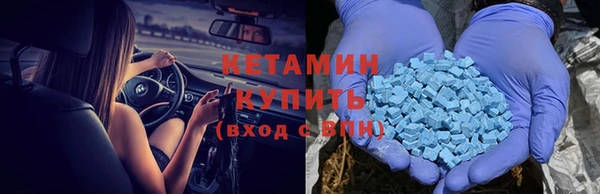 шишки Козловка