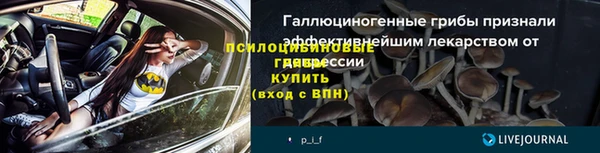 шишки Козловка