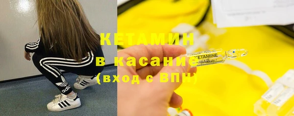 шишки Козловка