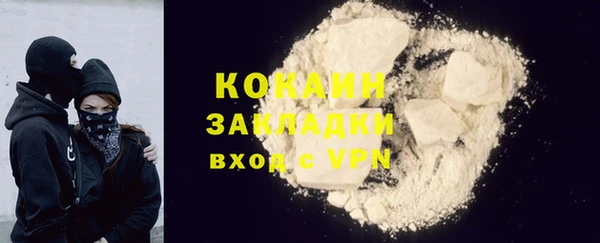 прущие грибы Козельск