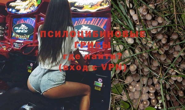прущие грибы Козельск