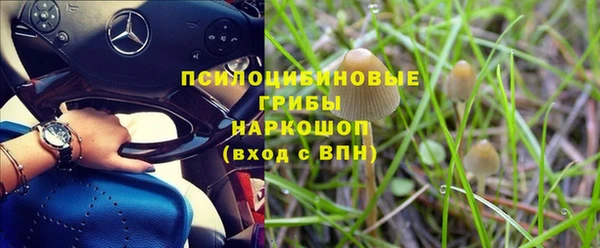 прущие грибы Козельск