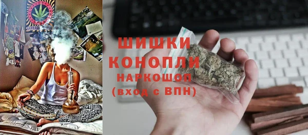прущие грибы Козельск