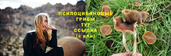 шишки Козловка