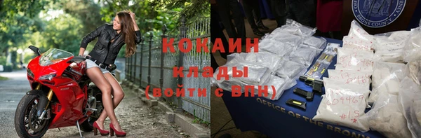 шишки Козловка