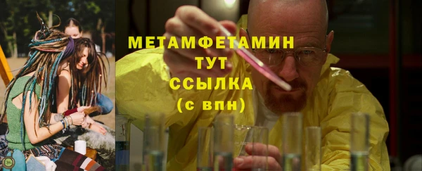 прущие грибы Козельск