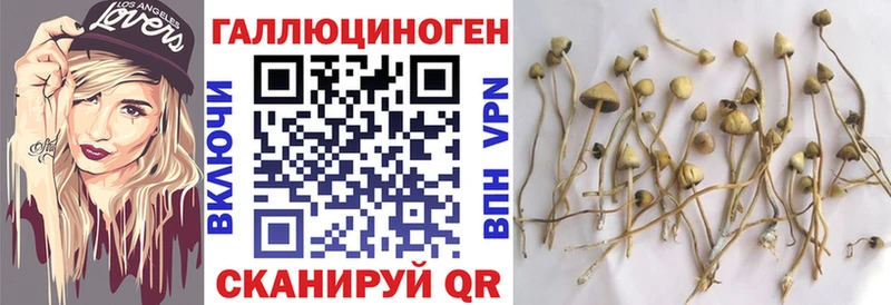 Купить где  Спас-Клепики  Галлюциногенные грибы Magic Shrooms 